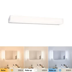 PAULMANN Home SPA LUNO IP44 LED wall lamp 2700K-6500K