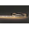 LED Strip 600 WARM WHITE Roll 5M IP20