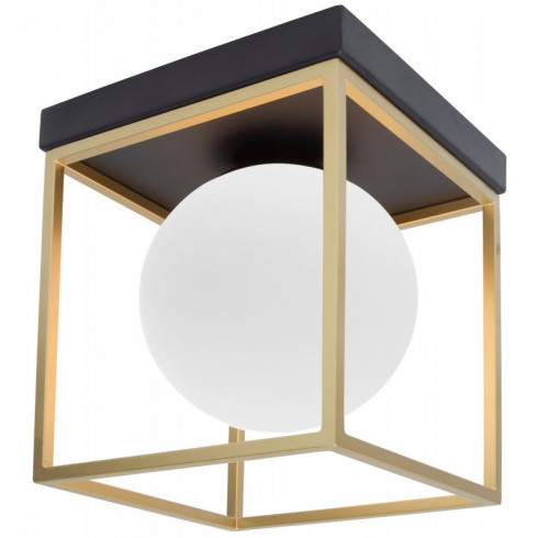 LUCES PLATA LE41789 ceiling lamp black and gold frame + white ball