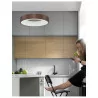 LUCES TOME THIN LE41527 hanging lamp LED 38cm, 60cm - 5 colors