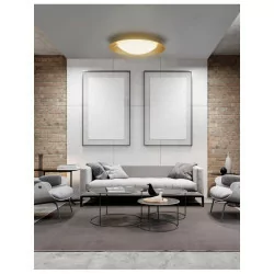 LUCES AVILA LE41580 LED ceiling lamp 50cm