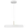 LUCES CORUNA LE41975/6/7 pendant lamp LED 41W white, black, green