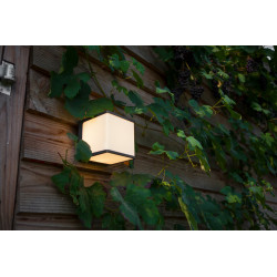 LUTEC DOBLO outdoor wall lamp