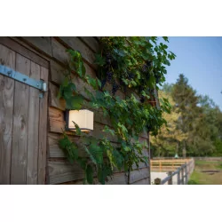 LUTEC DOBLO outdoor wall lamp