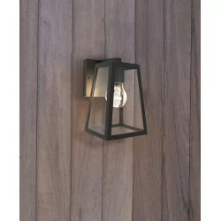 LUTEC FLAIR Outdoor wall lamp