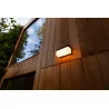 LUTEC FRAN Solar LED outdoor wall lamp