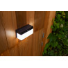 LUTEC FRAN Solar LED outdoor wall lamp