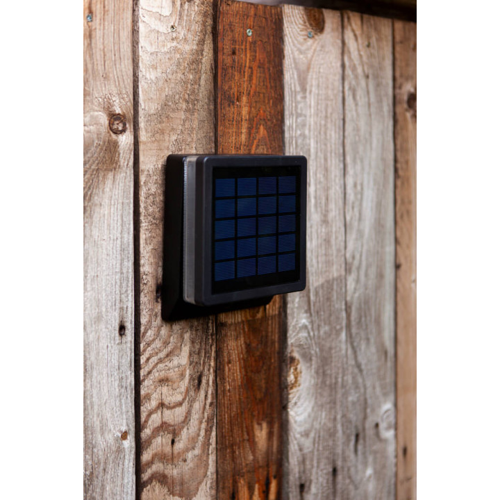 LUTEC Moze Solar Outdoor wall lamp with motion sensor