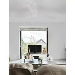 LUCES APIZACO LED ceiling fan white, black, brushed steel