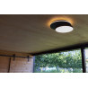 LUTEC GOLETA outdoor LED wall/ceiling lamp