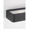 LUCES TAPACHULA LE71524 anthracite outdoor wall lamp IP65 LED 10W 20cm