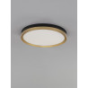 LUCES BANE LE43228/9 lampa sufitowa plafon LED czarno-złota 40cm, 50cm