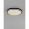 LUCES BANE LE43228/9 lampa sufitowa plafon LED czarno-złota 40cm, 50cm