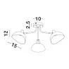 LUCES BANAC LE43423 czarna lampa sufitowa 5W ściemniana gwint: E14