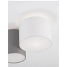 LUCES ACALCO LE43453 ceiling lamps with 2 shades, white/grey
