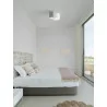 LUCES ACALCO LE43453 ceiling lamps with 2 shades, white/grey