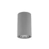 LUCES ACHLUM LE73515 gray ceiling lamp IP65 concrete/glass tube