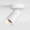 ASTRO CAN 50 Single spotlight, can be mounted on the ceiling or wall