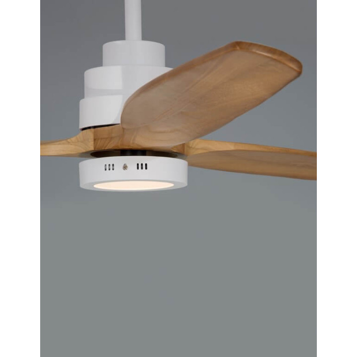LUCES SEGOVIA LE42554 Wentylator sufitowy z modułem LED 12W + 25W