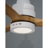 LUCES SEGOVIA LE42554 Ceiling fan + LED