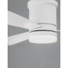 LUCES RAFAELA LE42547 Ceiling fan LED 18W white
