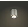 Maxlight FORM CEILING LAMP tube shape, available in 4 colors