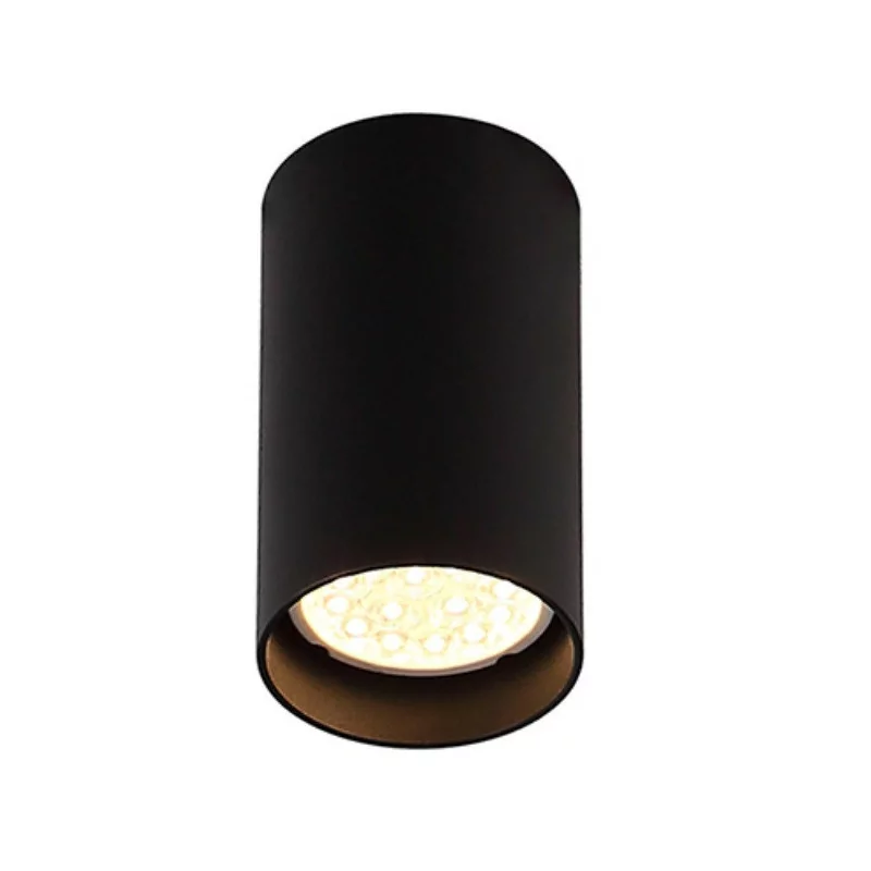 Maxlight PET Round C0142 ceiling lamp GU10