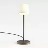 Astro Imari Desk desk lamp in brown or matte nickel