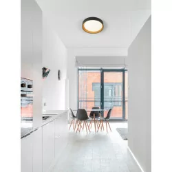 LUCES ROSITA LE43583/4/5 LED ceiling lamp white, black