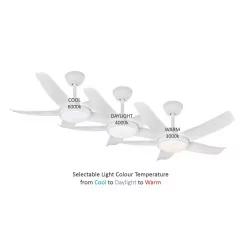 Ceiling fan FANTASIA LUNA white LED 22W 3000K-6000K