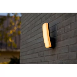 LUTEC KITE gray outdoor wall lamp, LED 8.8W, light color 3000K