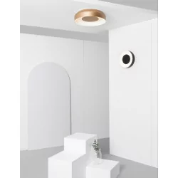 AQform MAXI RING dot LED 230V surface