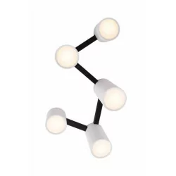 Maxlight LAXER C0229/30 ceiling lamp 5xGU10 max. power 7W black and white