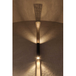 MAXlight COBRA W0342 wall lamp black gold 2 x GU10 7W metal/glass IP20