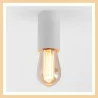 AQFORM PET E27 surface-mounted 47032 E27 bulb available in 4 colors