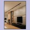 AQFORM RAFTER mini LED multitrack 16461 magnetyczna oprawa 2 kolory