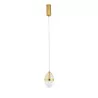 LUCES ARENA LE44329/30 LED hanging lamp 3000K, gold, 2 sizes