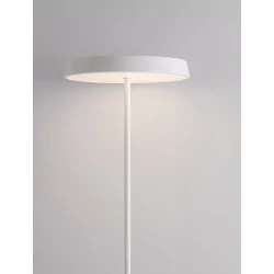 LUCES CORUNA LE44431/2/3 LED floor lamp 3 colors 136cm 33W 3000K