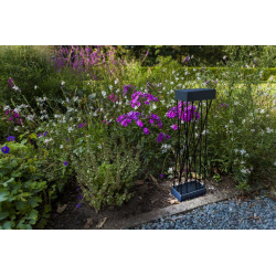 LUTEC SPIDO czarny słupek ogrodowy solarny LED 10,5W 60cm