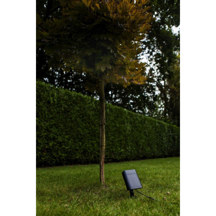 LUTEC BINGO lampa solarna LED z czujnikiem ruchu PIR 5000K