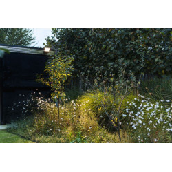 LUTEC ATLANTIS modern outdoor wall lamp LED moveable head