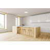 LUTEC VIRTUO ceiling lamp 34cm with Bluetooth