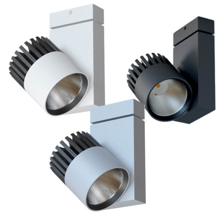 CLEONI Astor LED SLM oprawa sufitowa 36W CLEONI Astor LED SLM oprawa sufitowa 36W