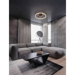 LUCES ESTARIO LE45397 ceiling lamp black LED 3000K
