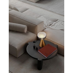 LUCES TARABUCO LE44686 LED table lamp 8W gold and grey