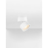 LUCES MALERTA LE45517/8 reflektor sufitowy regulowany LED