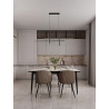 LUCES FORENZO LE45481/2 LED pendant lamp 3200K white black