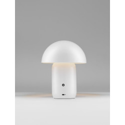 LUCES LOMENTA LE45580/1/2 LED table lamp 2W – elegant