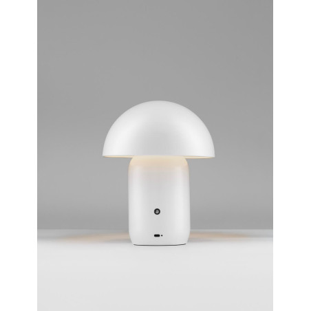 LUCES LOMENTA LE45580/1/2 LED table lamp 2W – elegant LUCES LOMENTA LE45580/1/2 LED table lamp 2W – elegant