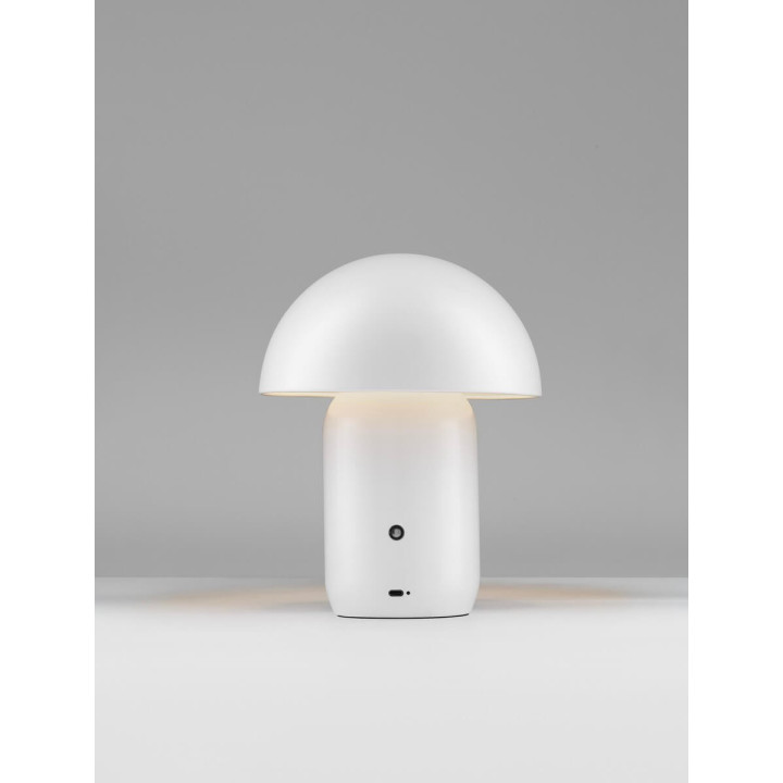 LUCES LOMENTA LE45580/1/2 LED table lamp 2W &ndash; elegant